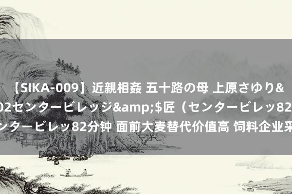 【SIKA-009】近親相姦 五十路の母 上原さゆり</a>2009-04-02センタービレッジ&$匠（センタービレッ82分钟 面前大麦替代价值高 饲料企业采购玉米心态严慎