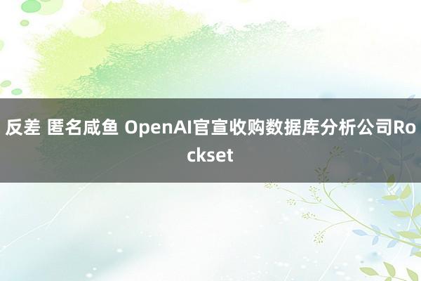 反差 匿名咸鱼 OpenAI官宣收购数据库分析公司Rockset