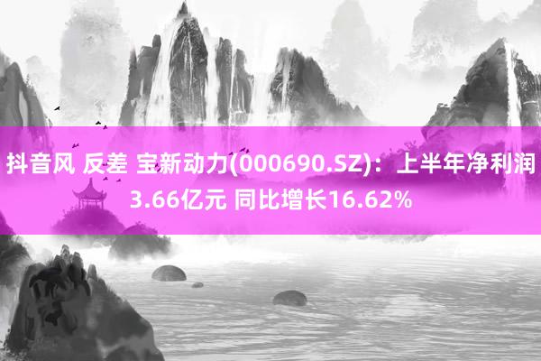 抖音风 反差 宝新动力(000690.SZ)：上半年净利润3.66亿元 同比增长16.62%