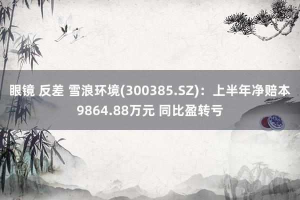 眼镜 反差 雪浪环境(300385.SZ)：上半年净赔本9864.88万元 同比盈转亏