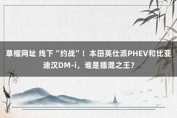 草榴网址 线下“约战”！本田英仕派PHEV和比亚迪汉DM-i，谁是插混之王？