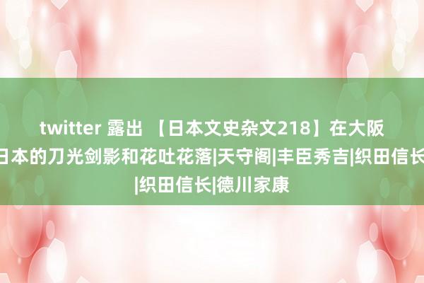 twitter 露出 【日本文史杂文218】在大阪城看战国日本的刀光剑影和花吐花落|天守阁|丰臣秀吉|织田信长|德川家康