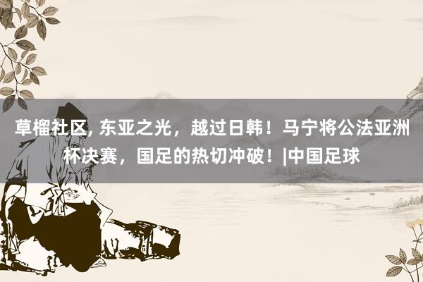 草榴社区， 东亚之光，越过日韩！马宁将公法亚洲杯决赛，国足的热切冲破！|中国足球